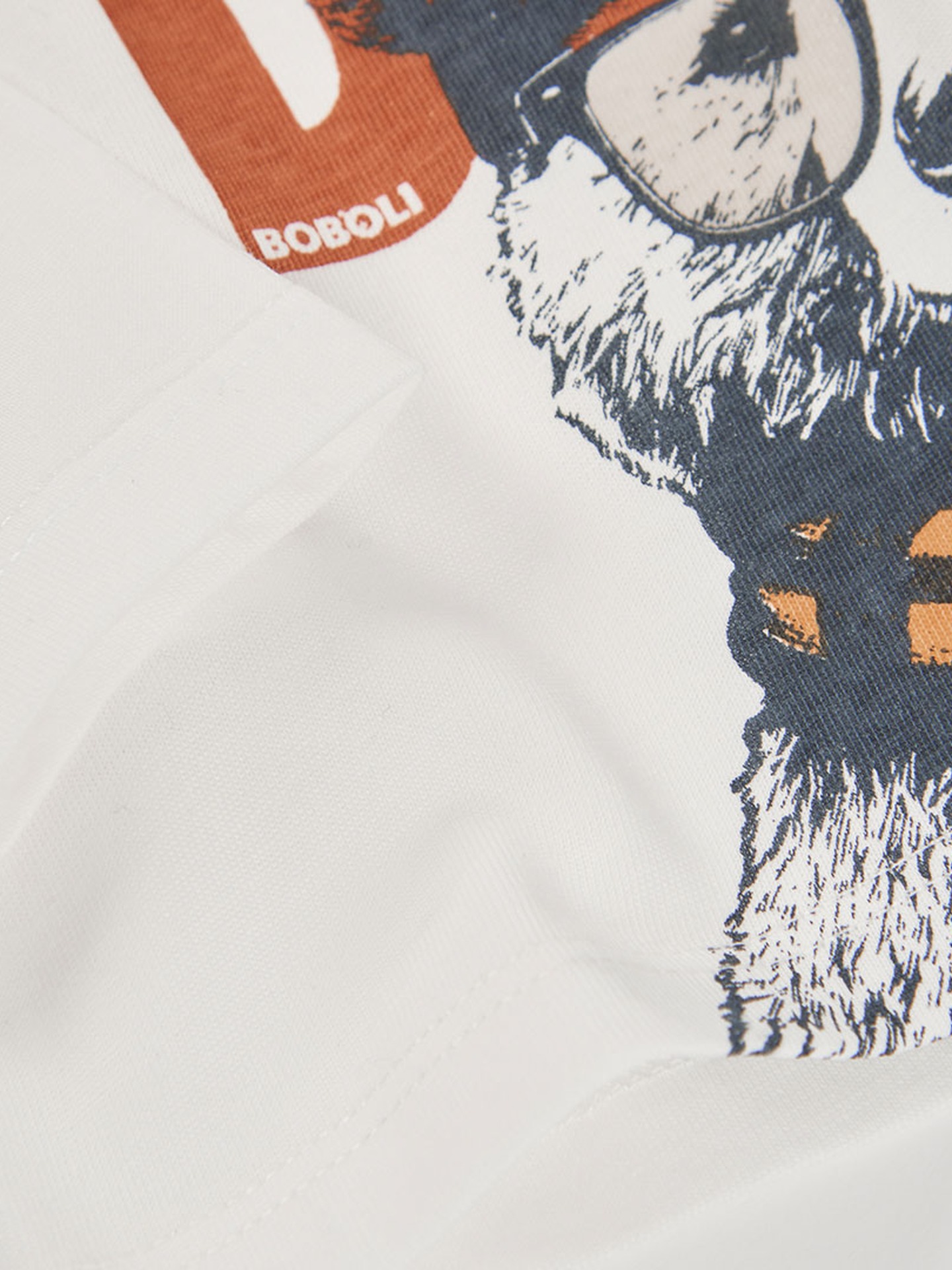Camisola de Manga Comprida com Estampado