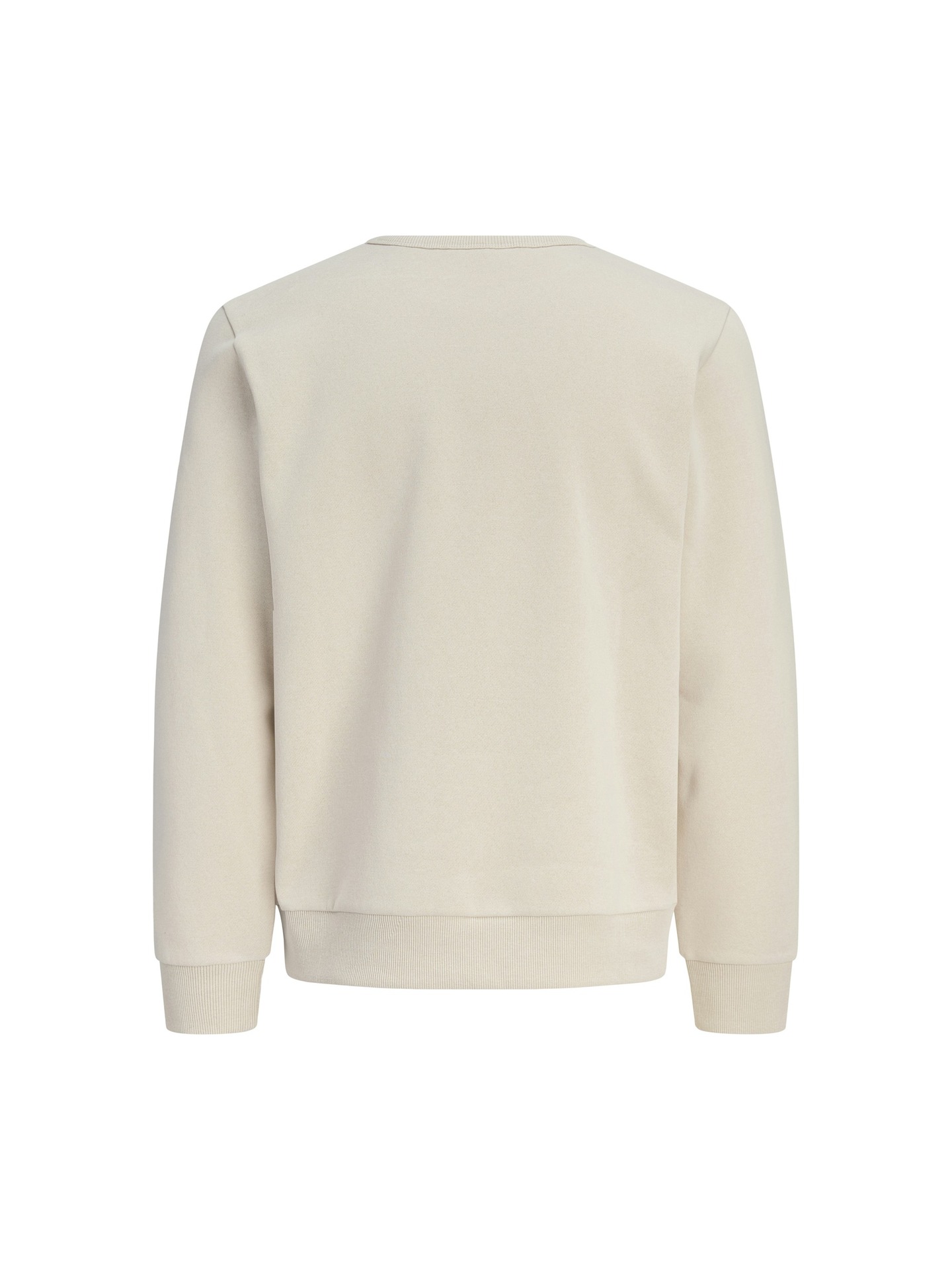 Sweatshirt Regular Fit com Gola Redonda