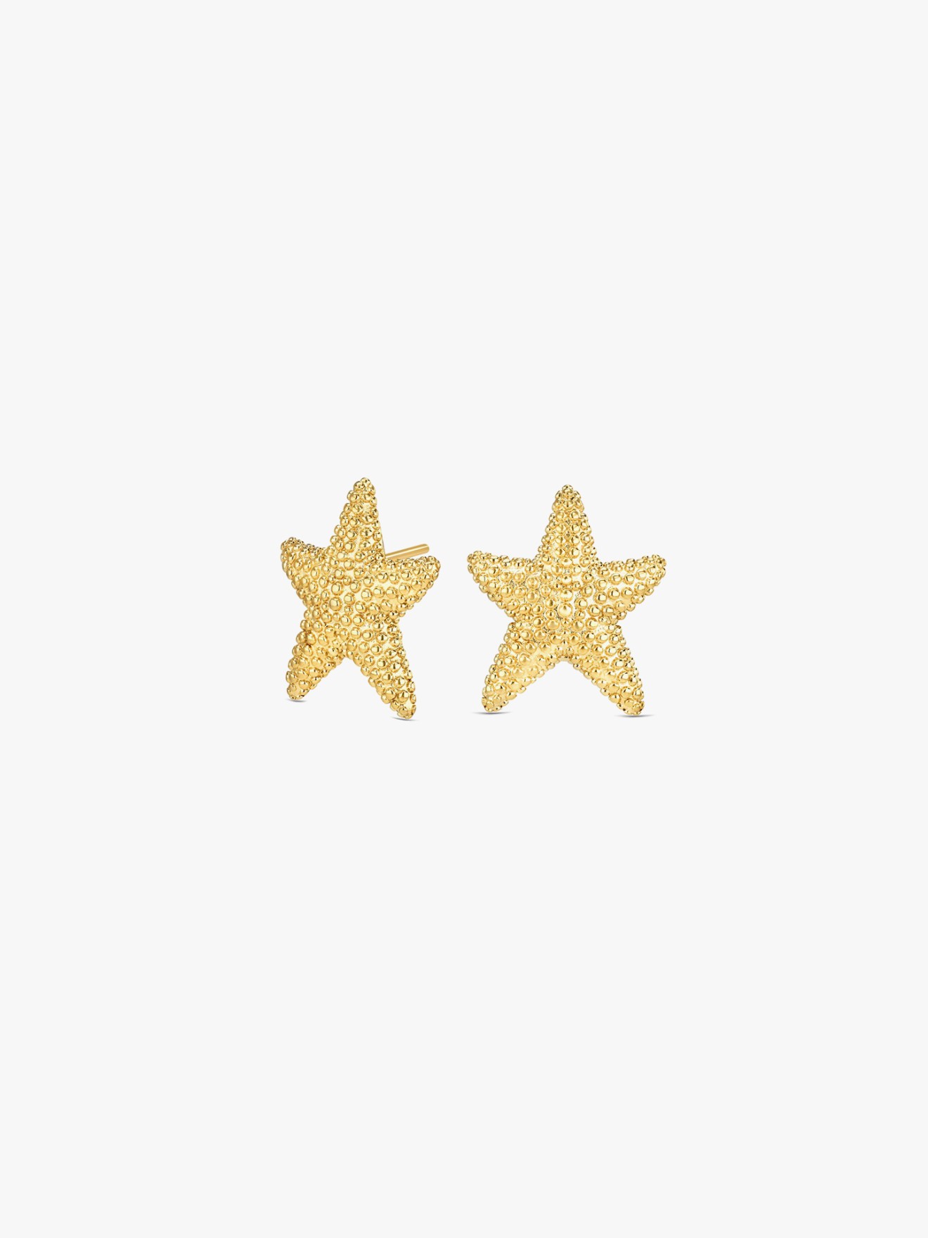 Brincos Sunny Star