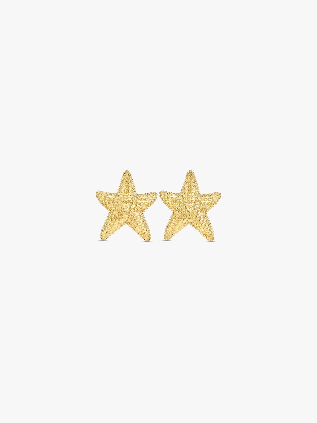 Brincos Sunny Star