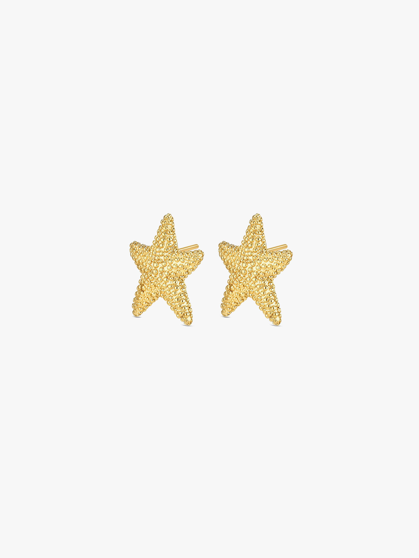 Brincos Sunny Star