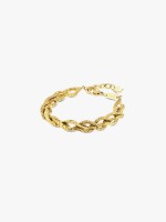 Dourado Dourado
