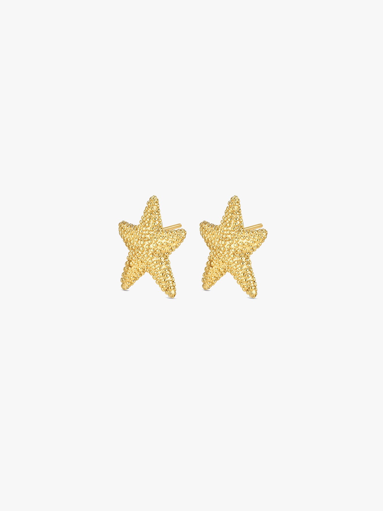 Brincos Sunny Star
