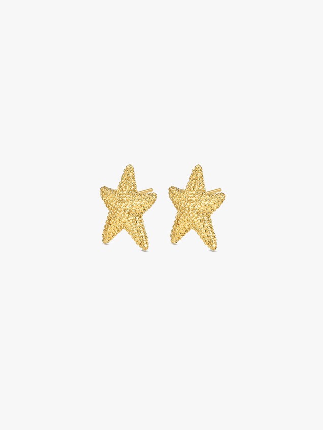 Brincos Sunny Star