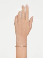 Dourado Dourado