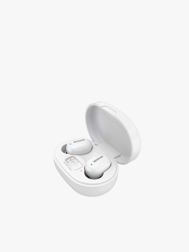 Earphones EBTW-150
