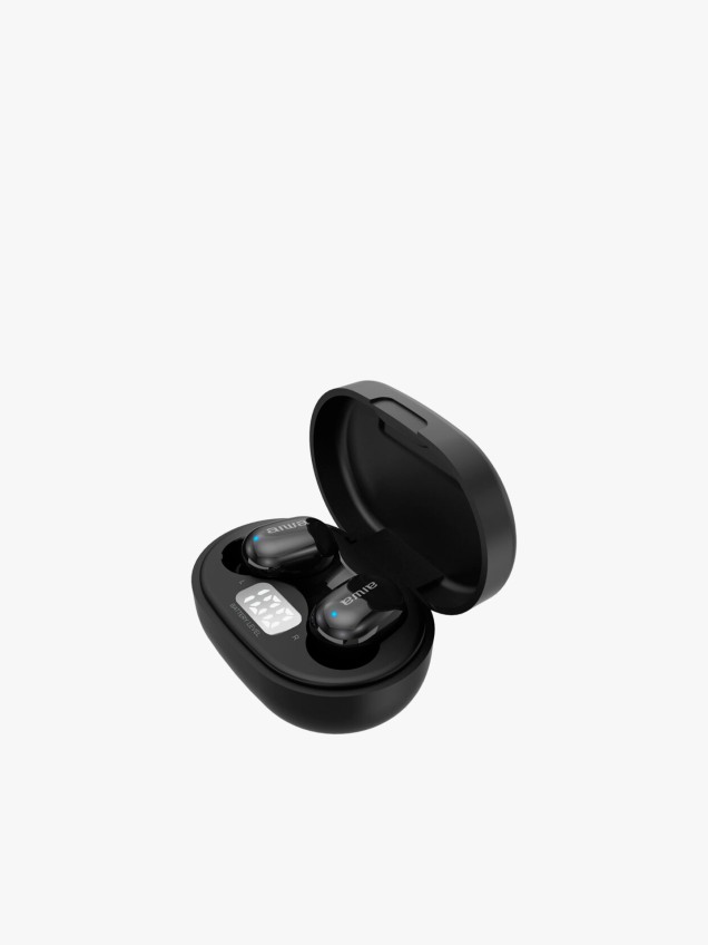 Earphones EBTW-150