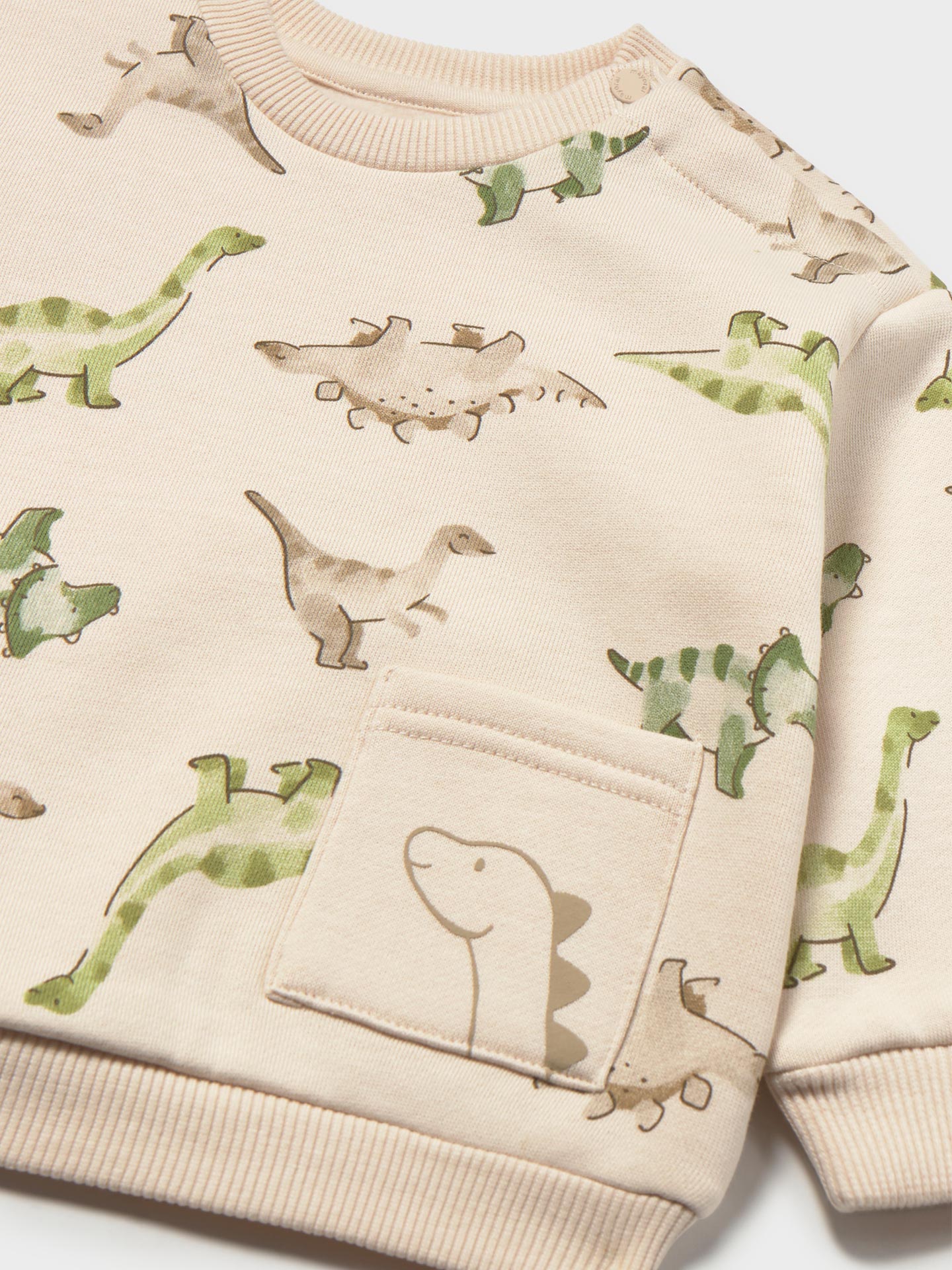 Sweatshirt com Estampado de Dinossauros