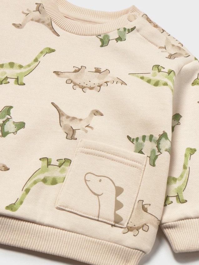 Sweatshirt com Estampado de Dinossauros