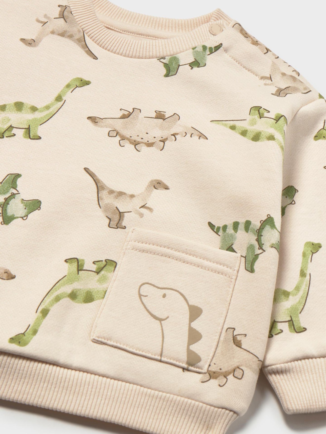 Sweatshirt com Estampado de Dinossauros