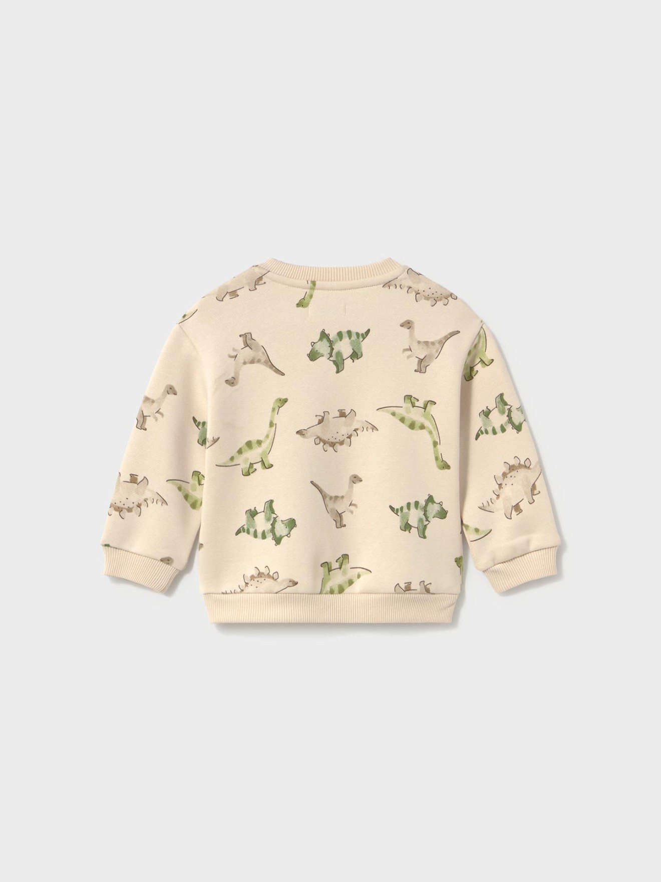 Sweatshirt com Estampado de Dinossauros