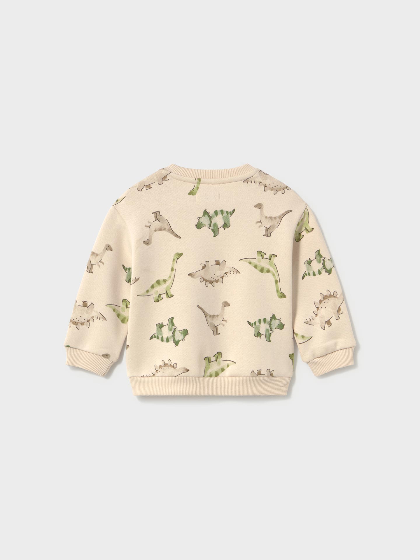 Sweatshirt com Estampado de Dinossauros