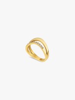 Dourado