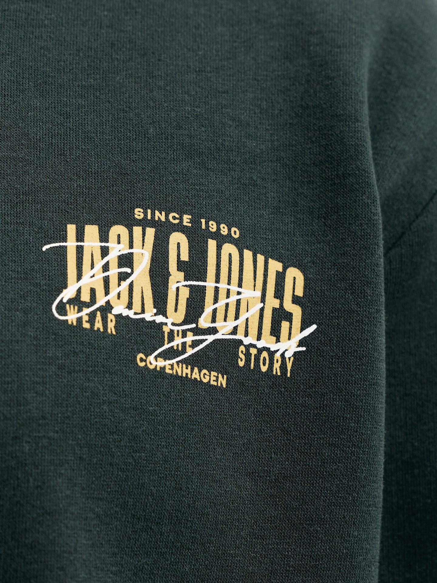 Sweatshirt com Capuz