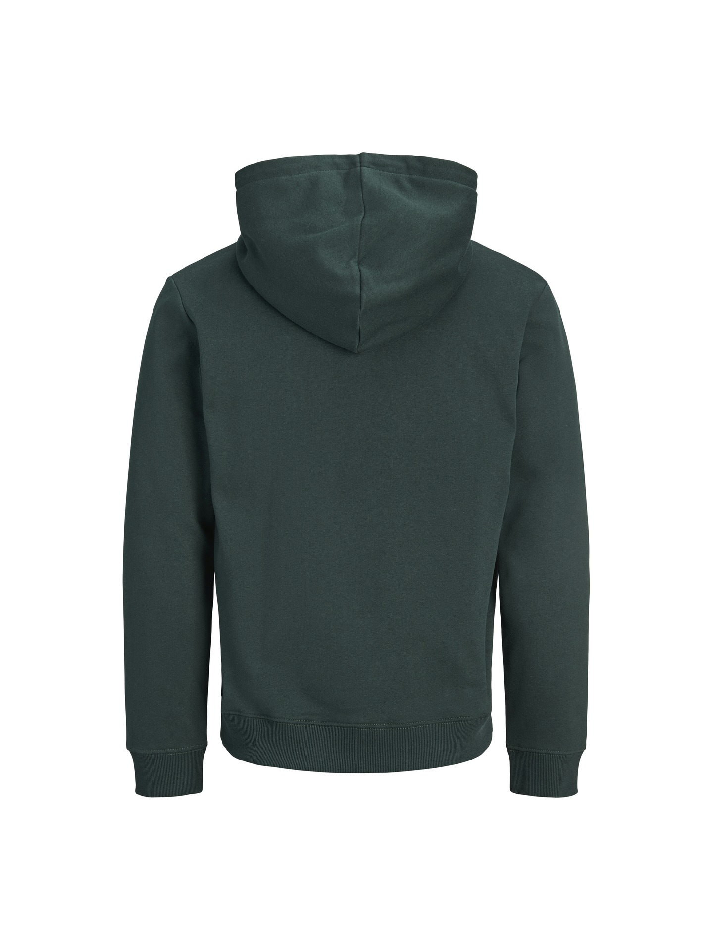 Sweatshirt com Capuz