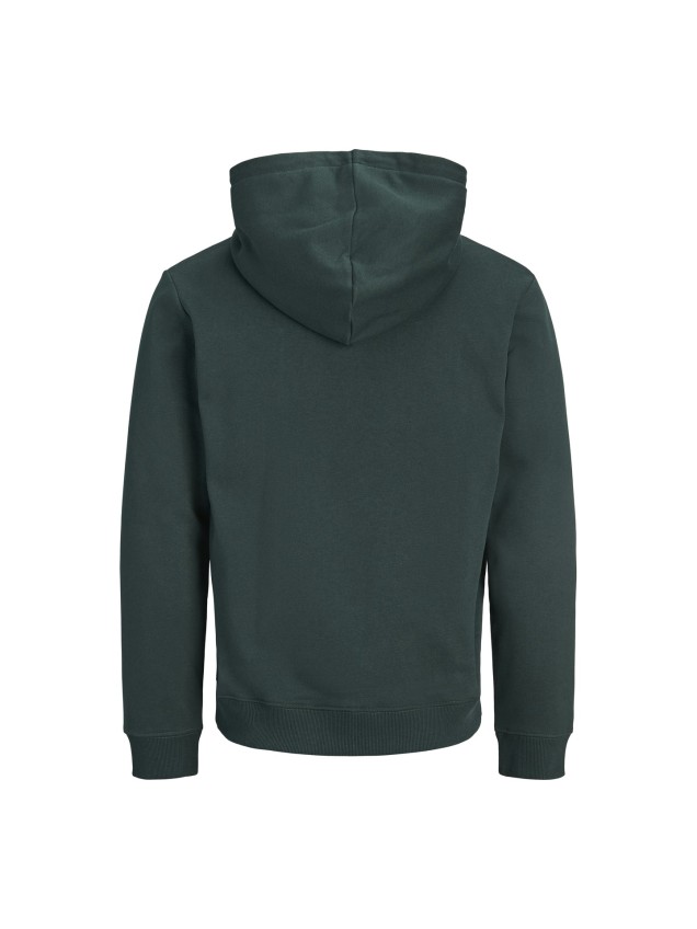 Sweatshirt com Capuz