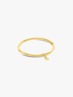 Dourado Dourado