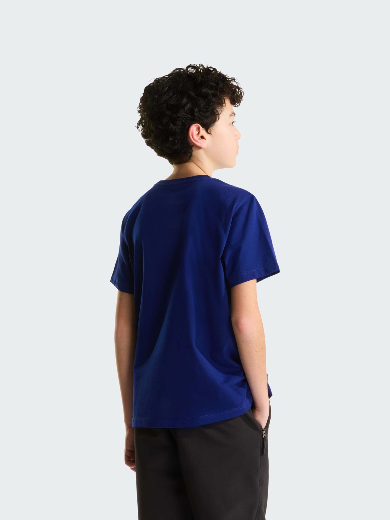 T-shirt Evolution Simple Dome