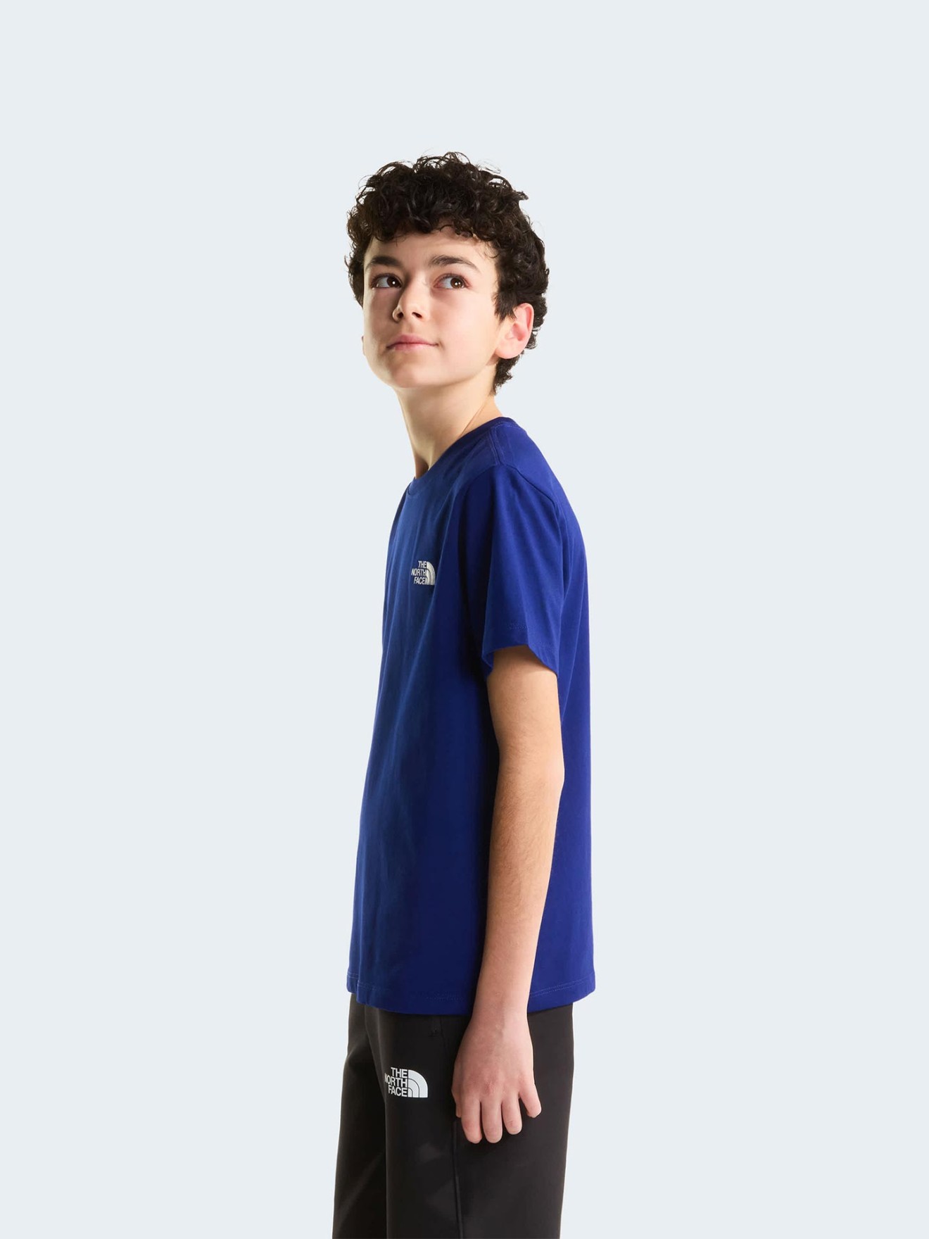 T-shirt Evolution Simple Dome