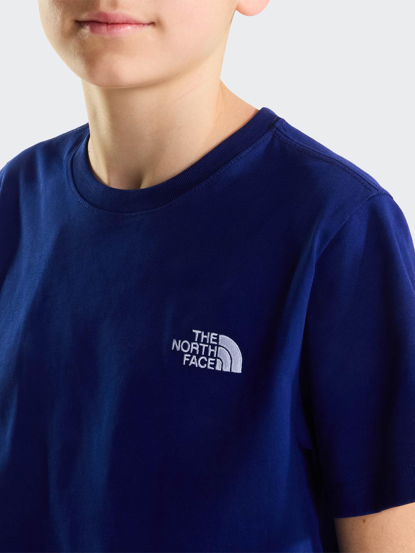 T-shirt Evolution Simple Dome