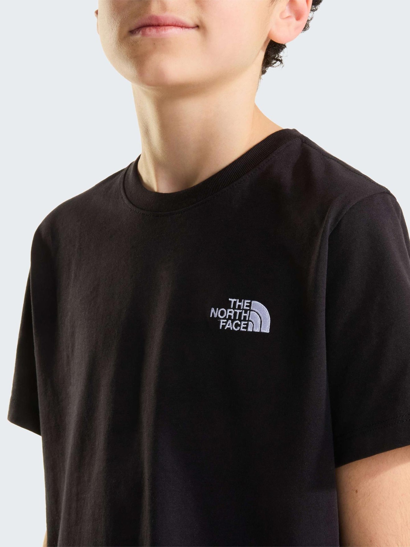 T-shirt Evolution Simple Dome