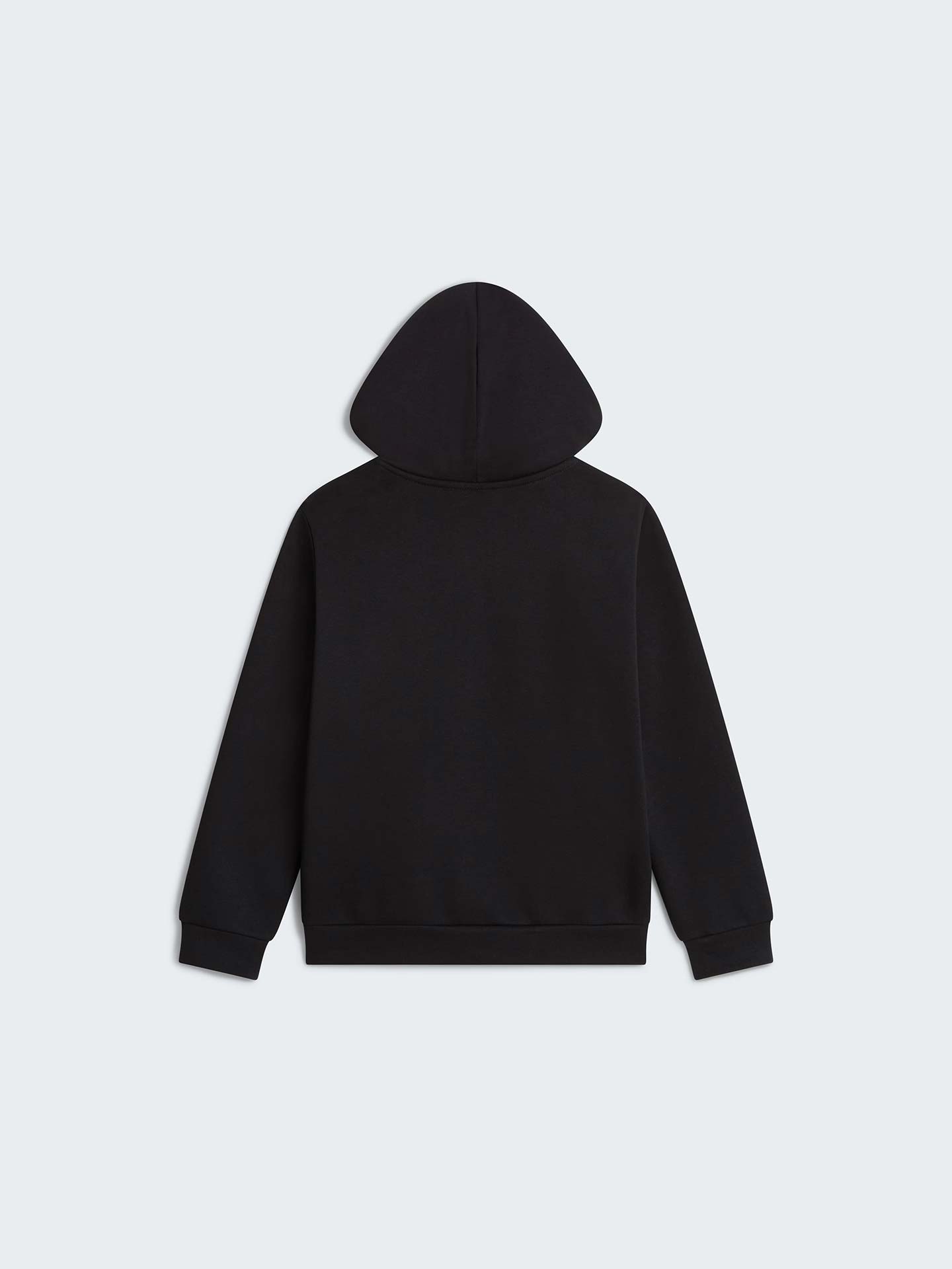 Sweatshirt com Capuz Evolution Simple