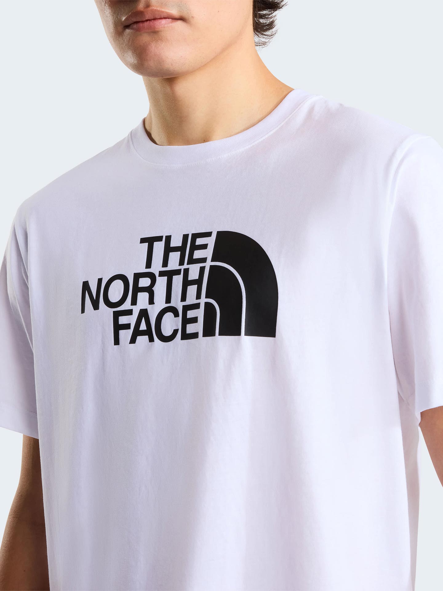 T-shirt Half Dome Evolution