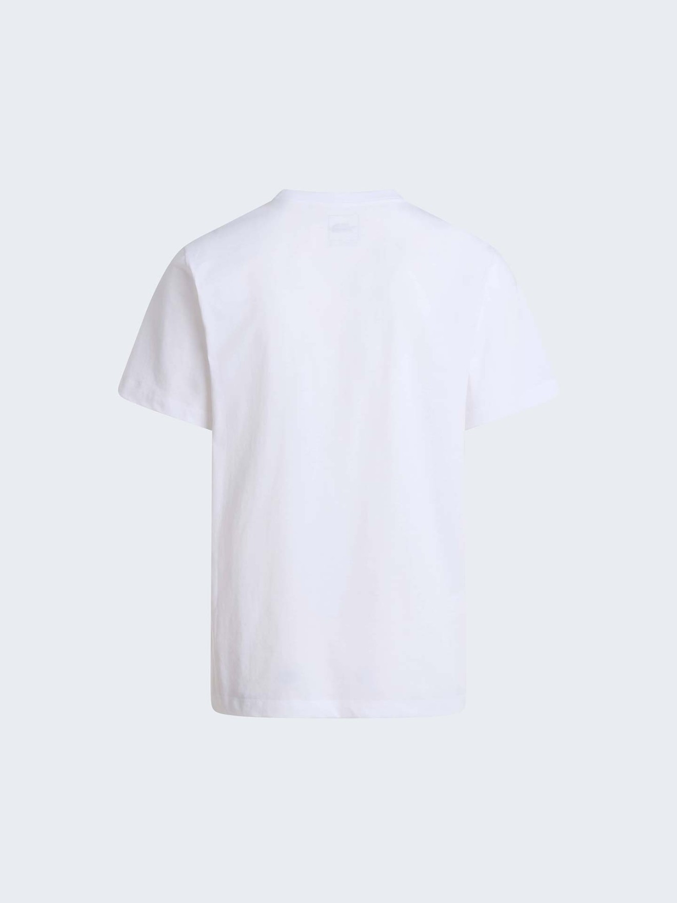 T-shirt Evolution Simple Dome