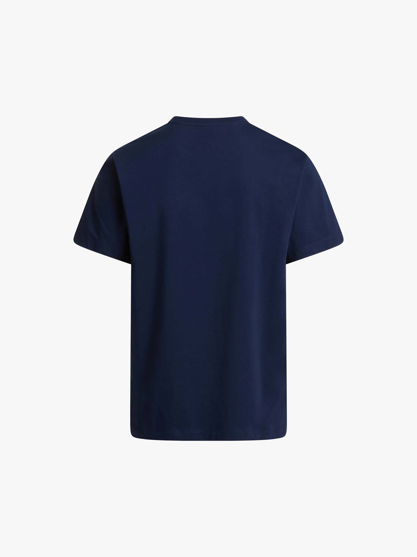 T-shirt Evolution Simple Dome