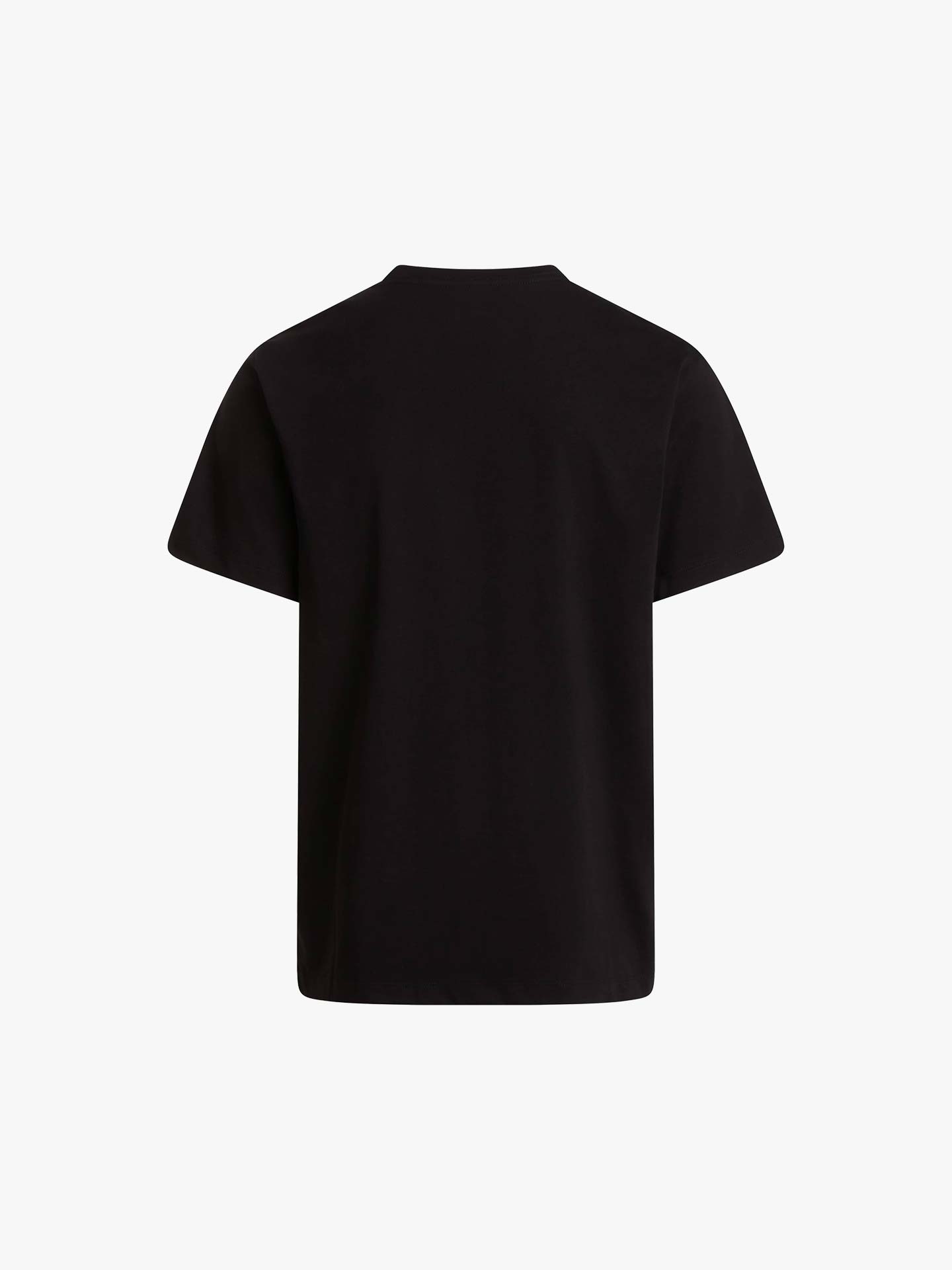 T-shirt Evolution Simple Dome