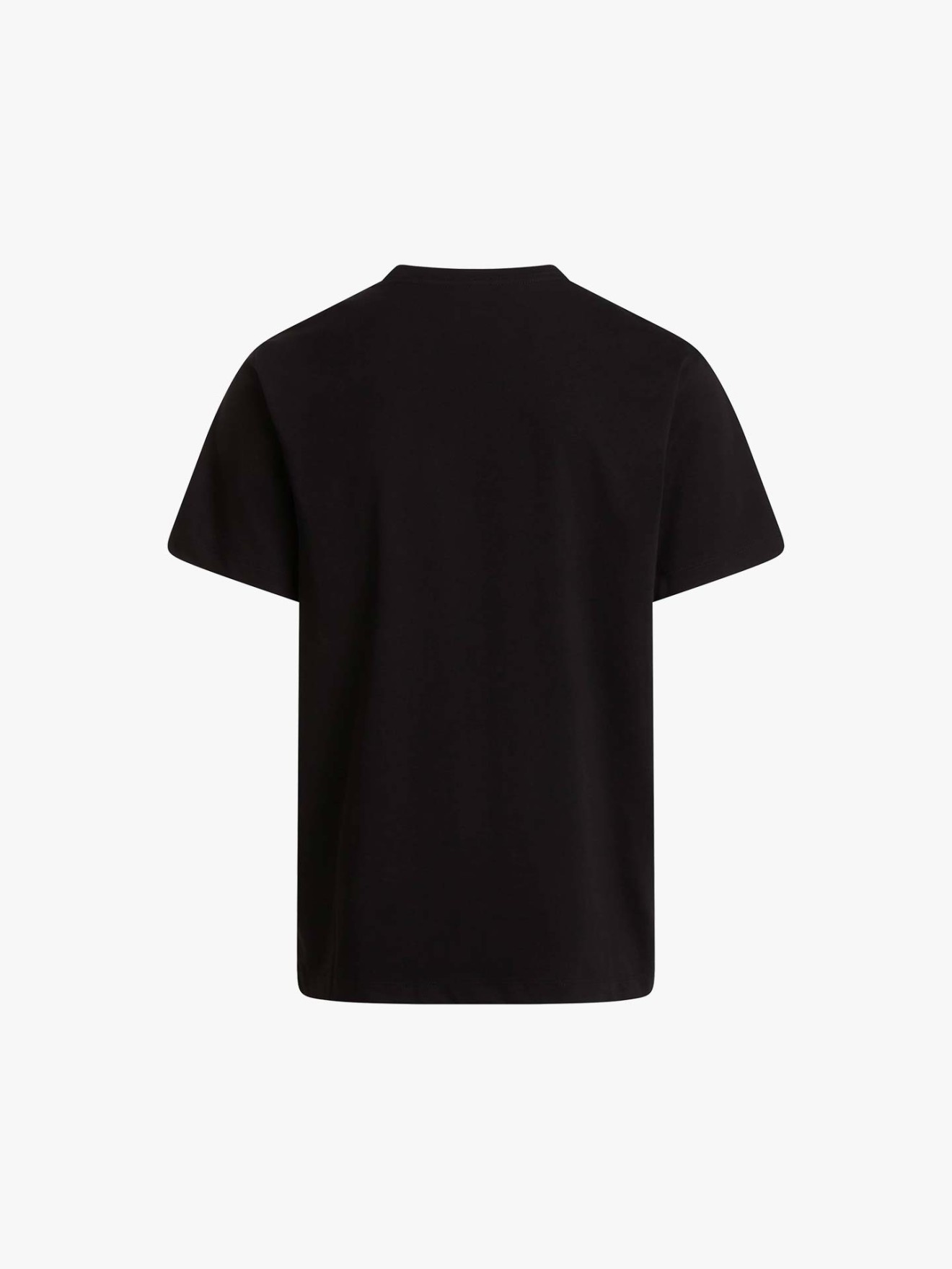 T-shirt Evolution Simple Dome