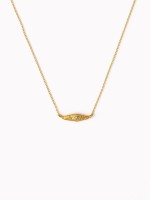 Dourado Dourado