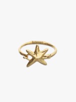 Dourado Dourado