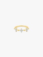 Dourado
