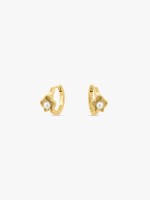 Dourado Dourado