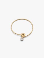 Dourado Dourado