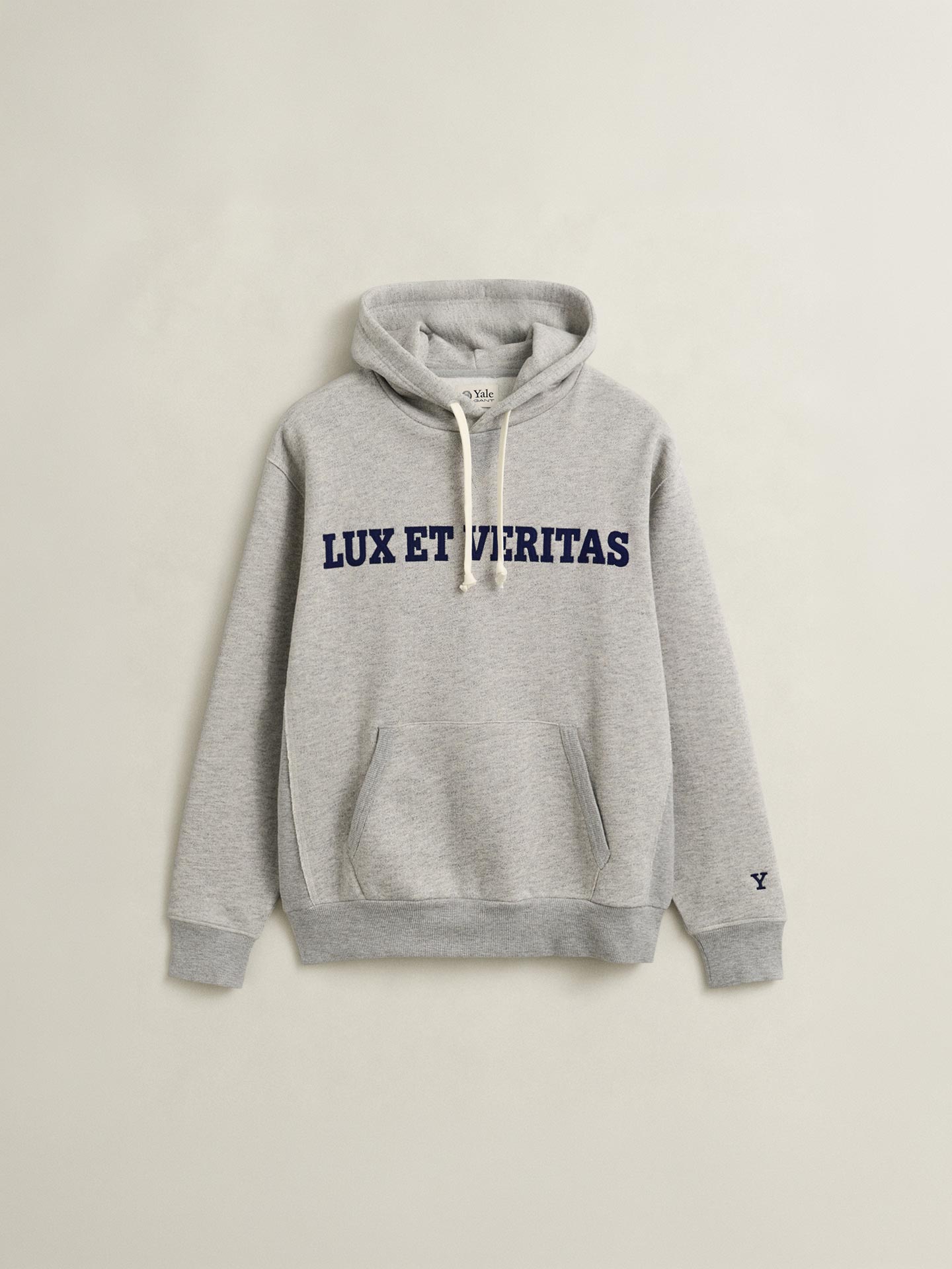 Sweatshirt Regular Fit com Capuz