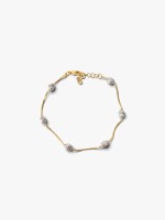 Dourado Dourado