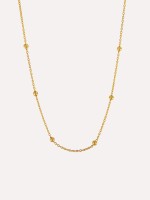 Dourado Dourado