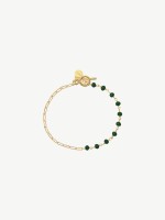 Dourado