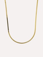 Dourado Dourado