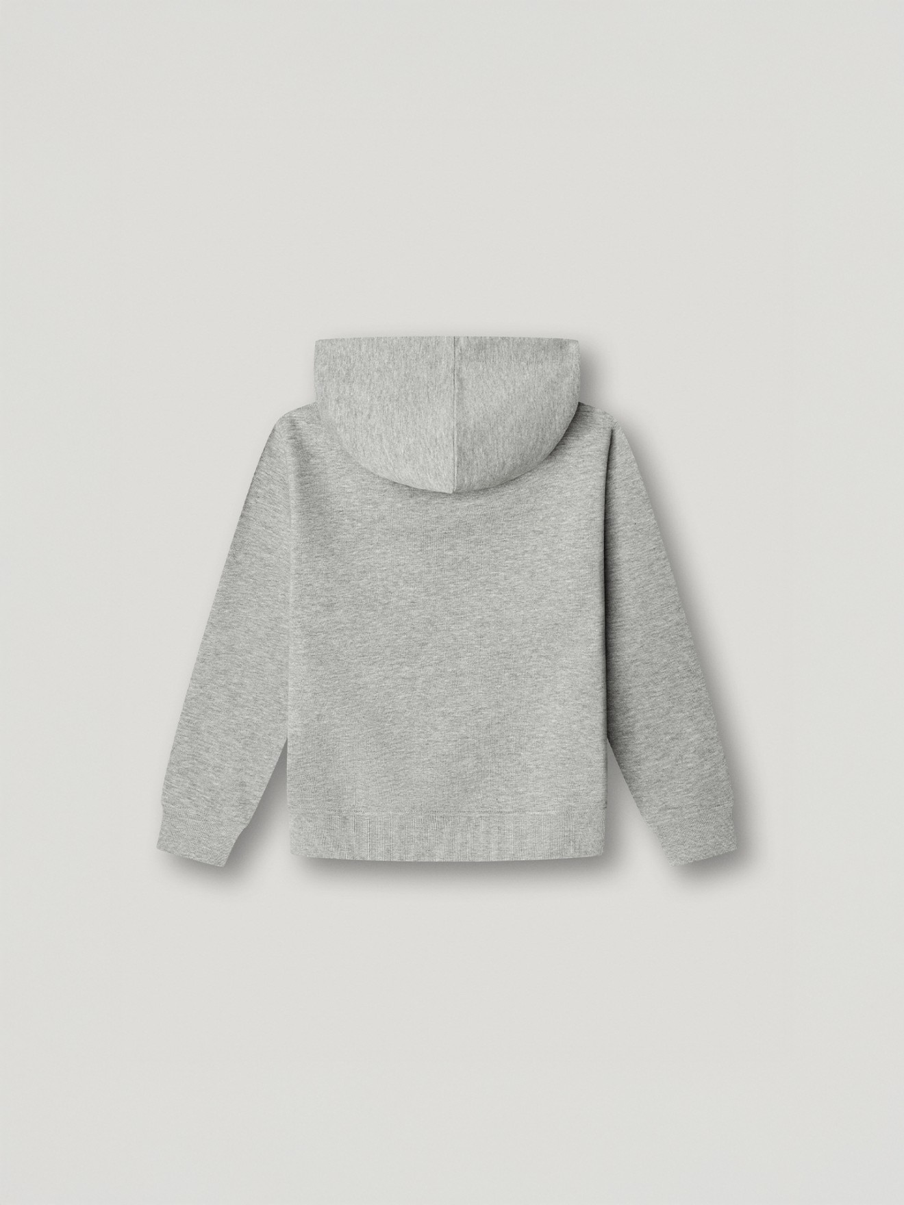 Sweatshirt com Capuz Regular Fit