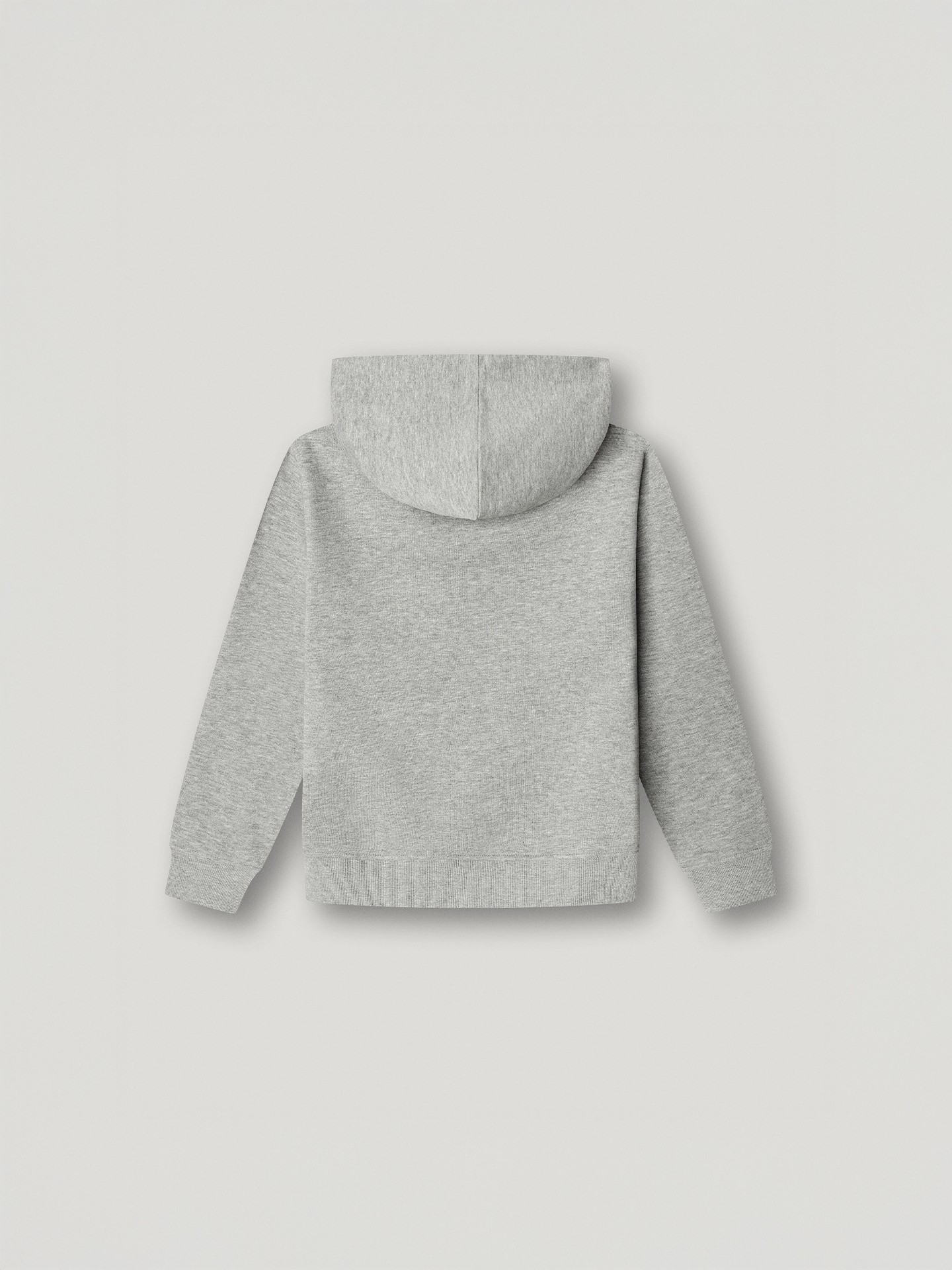 Sweatshirt com Capuz Regular Fit