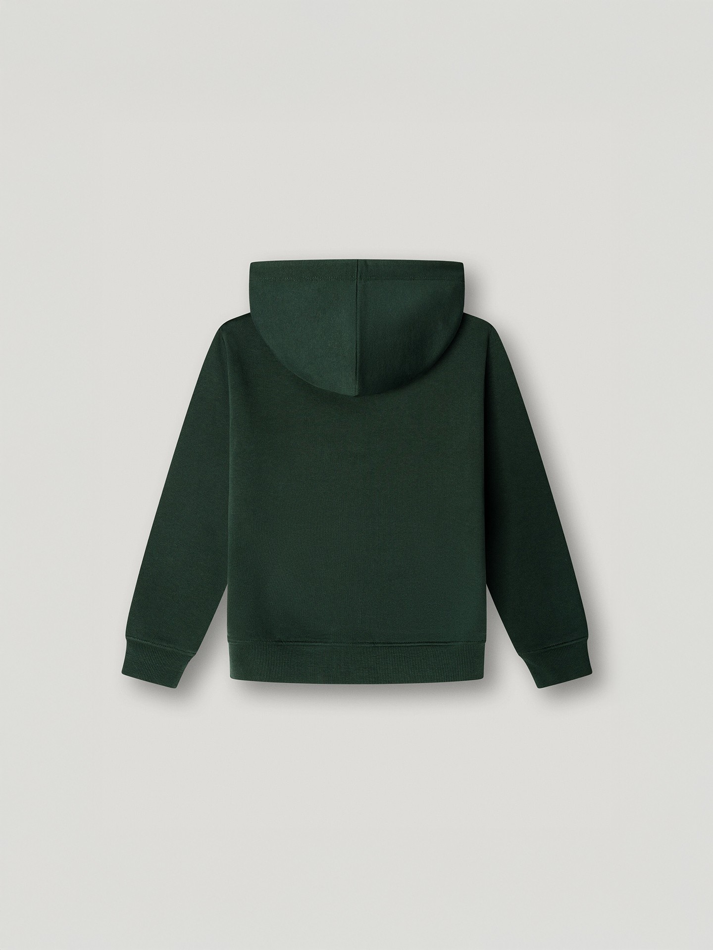 Sweatshirt com Capuz Regular Fit