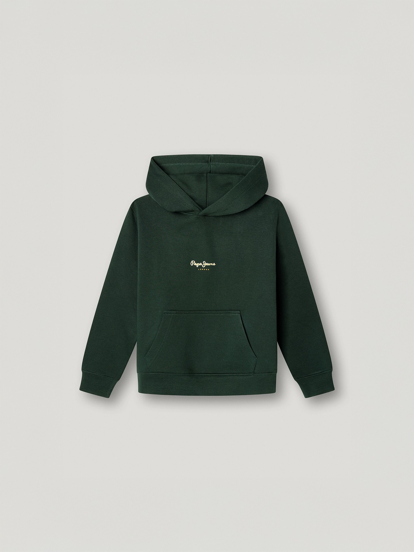 Sweatshirt com Capuz Regular Fit