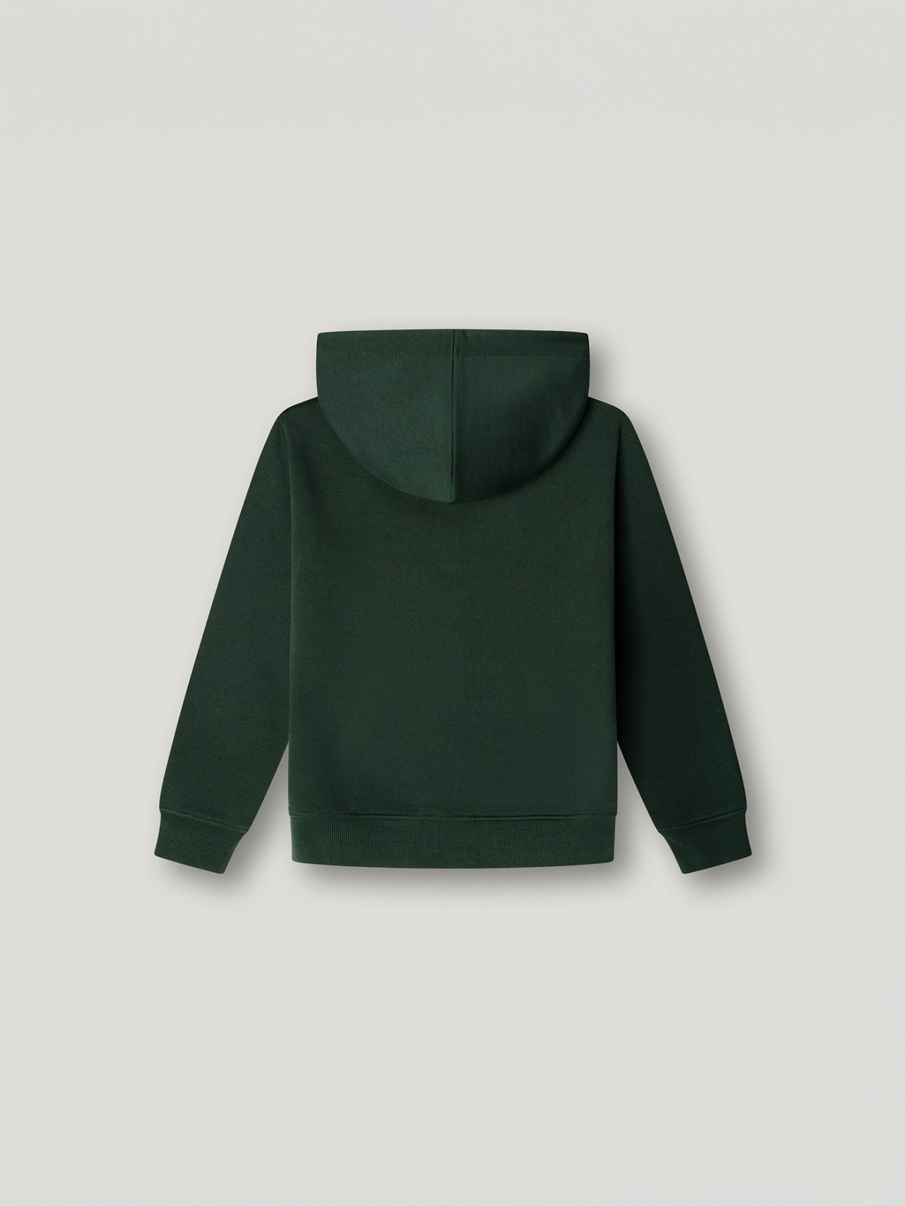 Sweatshirt com Capuz Regular Fit