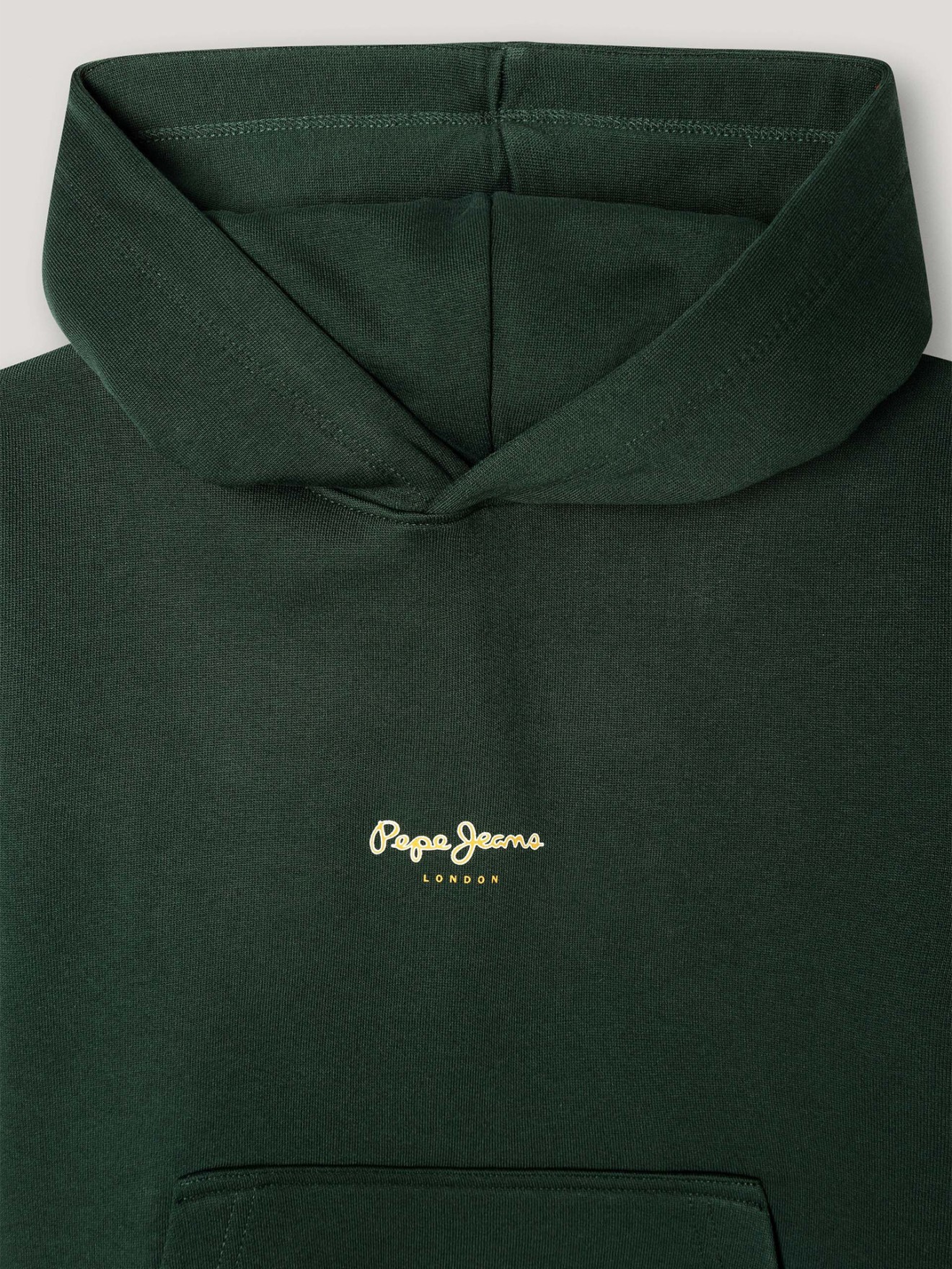 Sweatshirt com Capuz Regular Fit