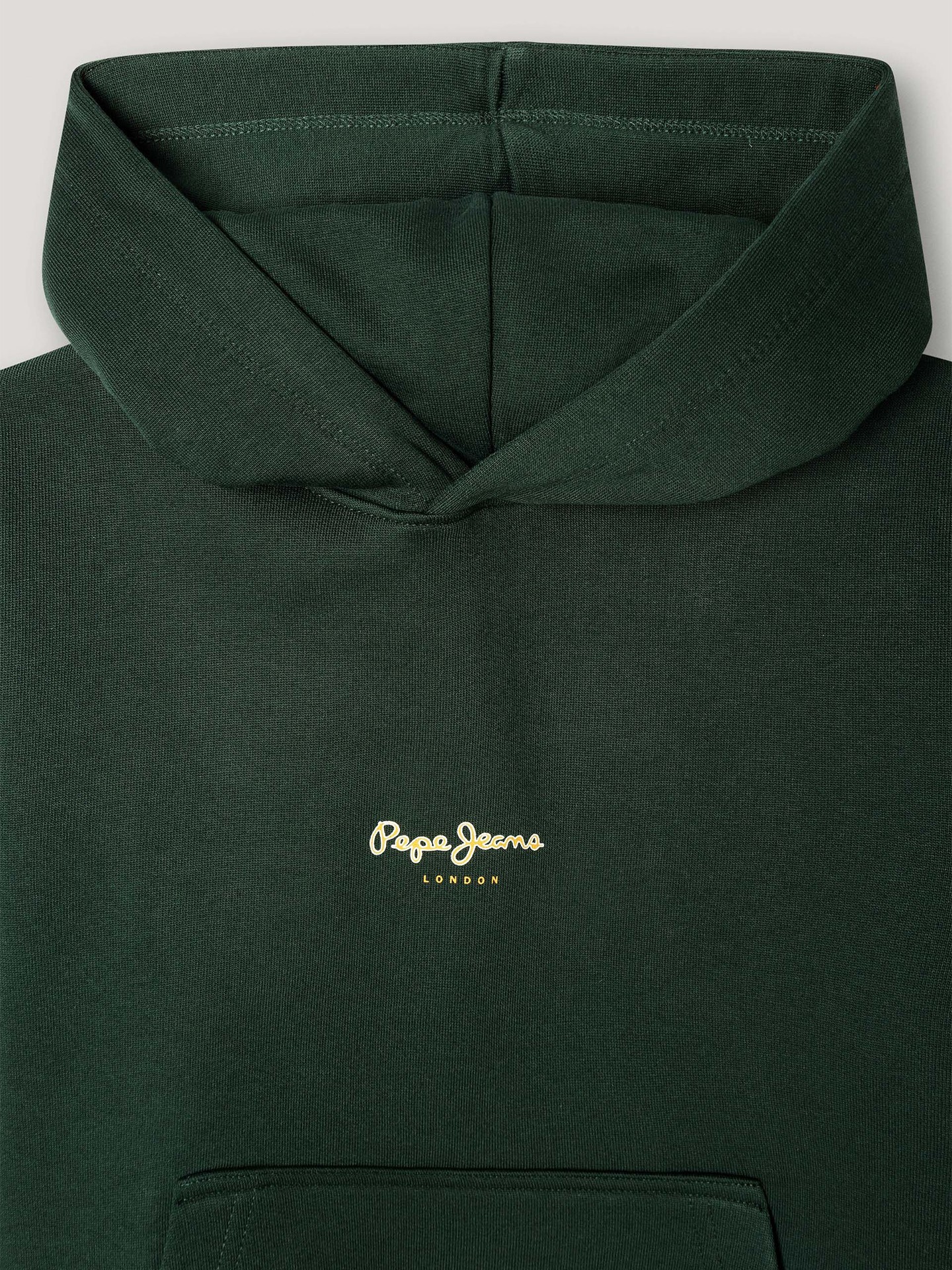 Sweatshirt com Capuz Regular Fit