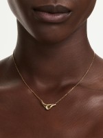 Dourado