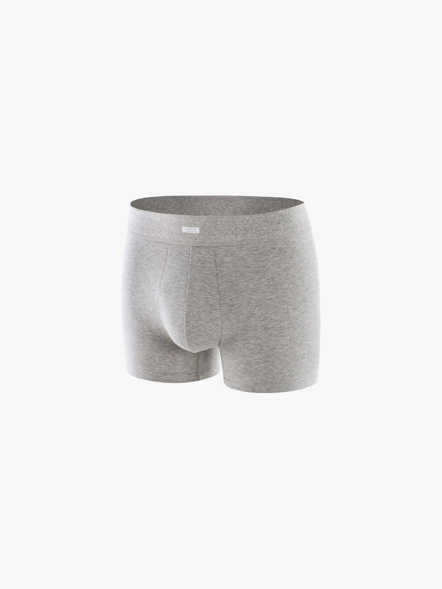 Boxer básico